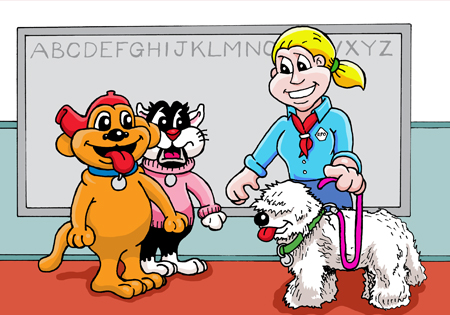 Decorative presentations